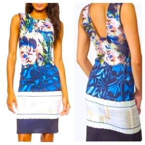 Clover Canyon James Joyce Sheath Dress 🔥new 💥